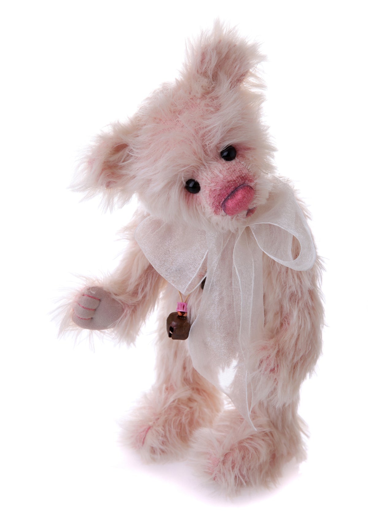 Candyfloss - Wolfe Nursery